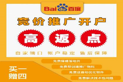 搜索引擎关键词竞价排名的策略调整与案例